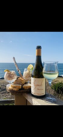 Ayoub Wines-Dundee必去景点