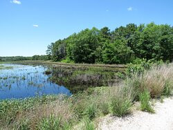 Brendan T. Byrne State Forest-New Lisbon必去景点