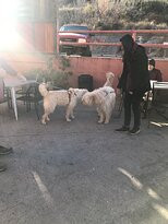 School House Inn Bed & Breakfast主图