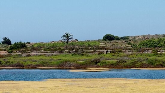 Cala Reona景点图片