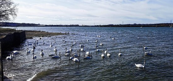 The Walls, Mistley Towers景点图片