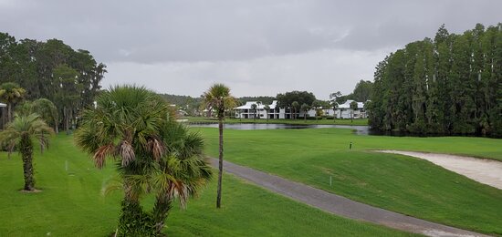 Saddlebrook Resort-酒店景观
