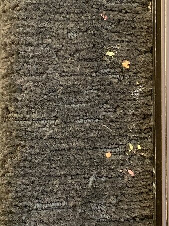 奥兰多市区希尔顿双树酒店主图