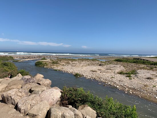 Humedal del Rio Lluta景点图片
