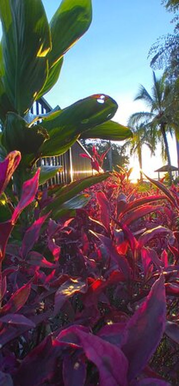 Liamo Reef Resort主图