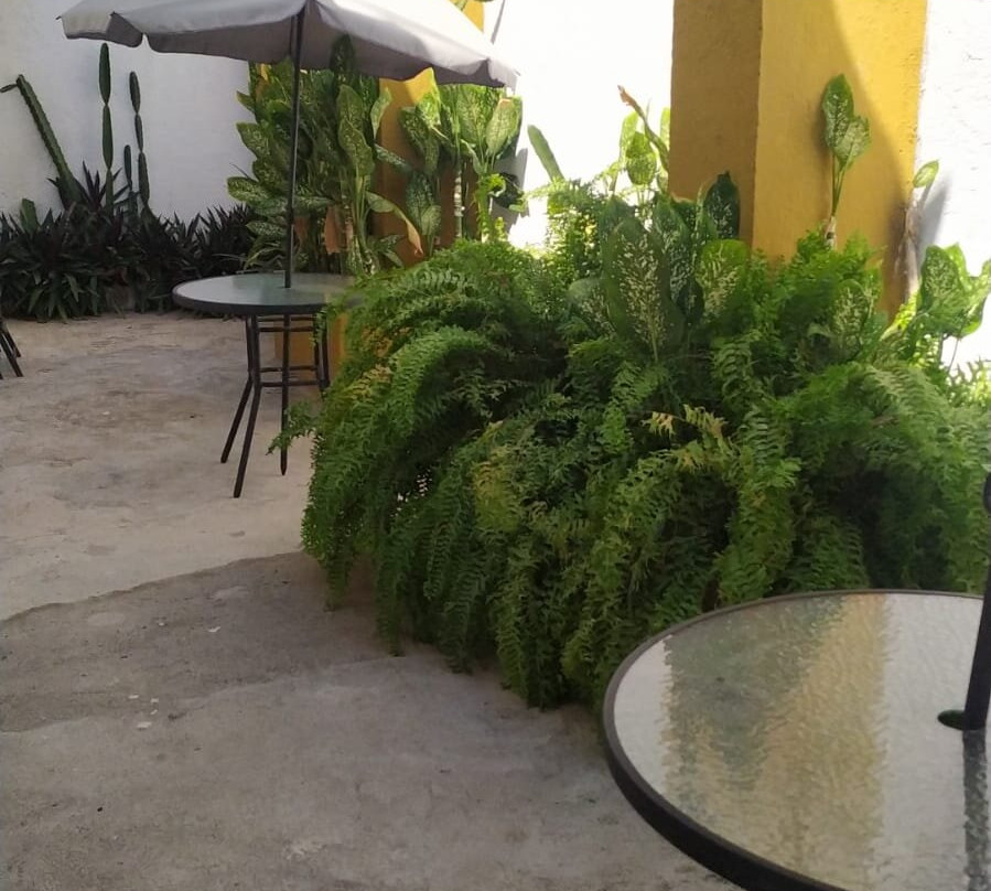 Hotel Plaza Cocos