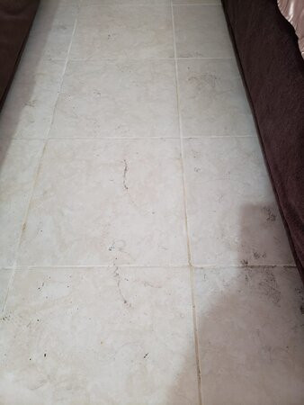 DM Hoteles Mossone Ica主图