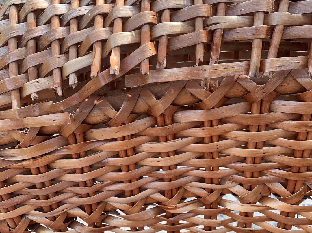 Buymerivka Pine Spa-Resort