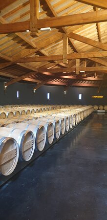 Chateau Lafon-Rochet景点图片