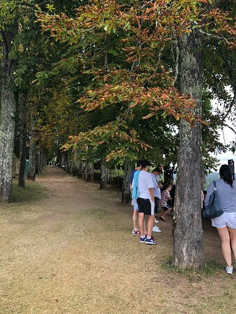 Jardins Panoramiques De Limeuil景点图片