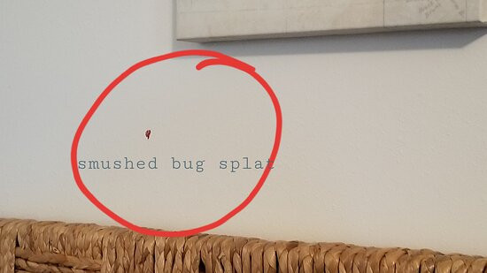 Dauphin Island Harbor House主图