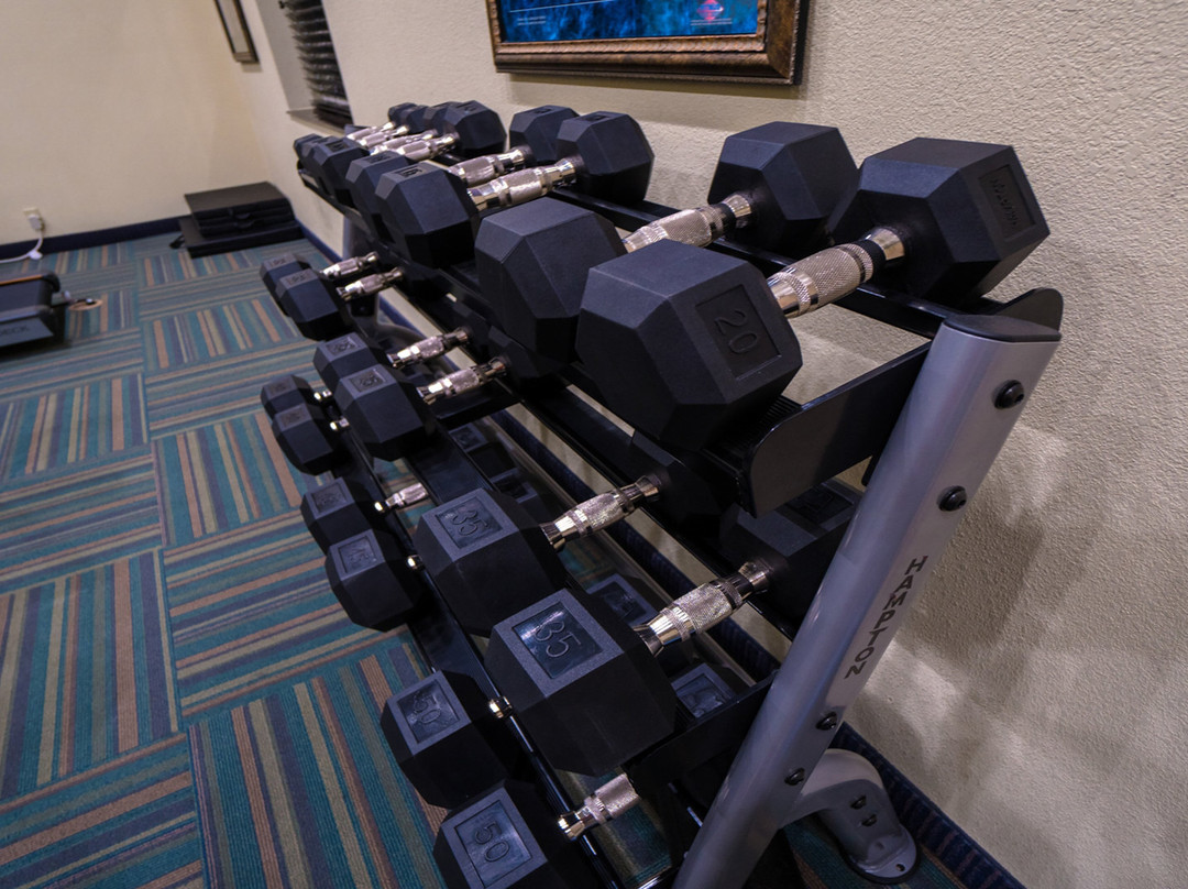 潘帕快捷假日&套房酒店主图