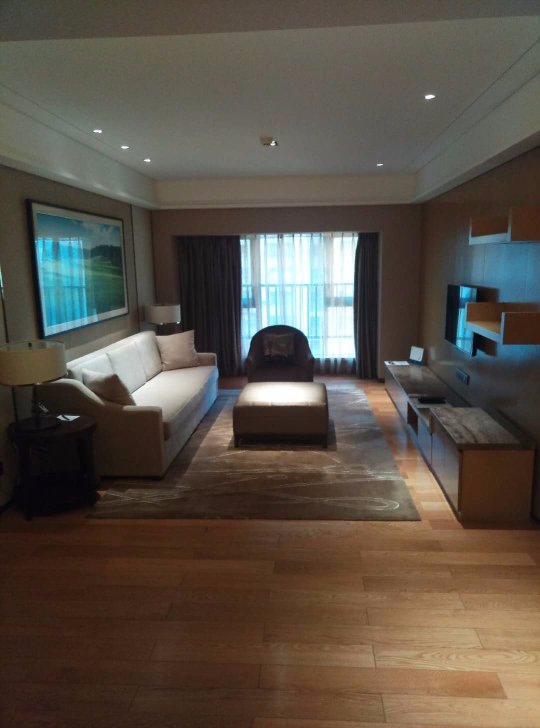 盛捷君临天下服务公寓-客卧