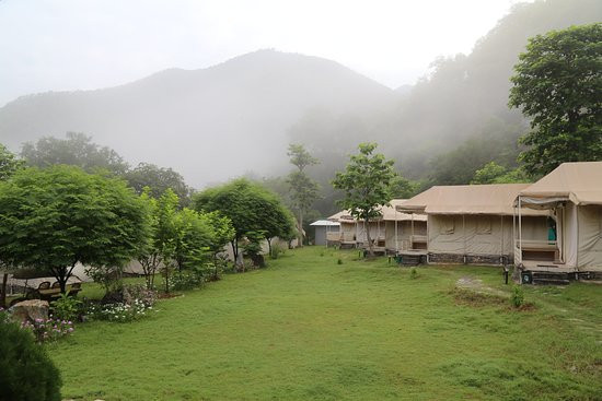 Banyan by the Ganges主图