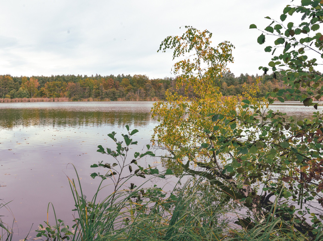 Seerundweg Steckelsdorfer See景点图片