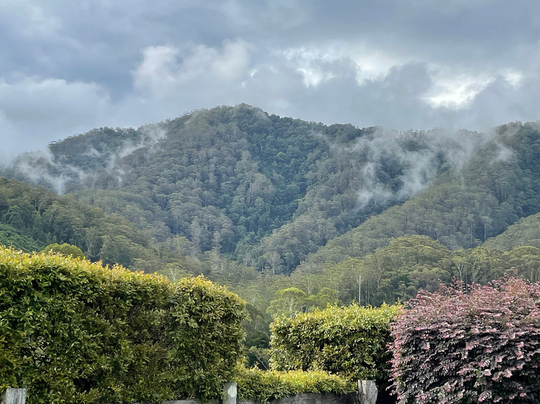 The Castle At Bonville
