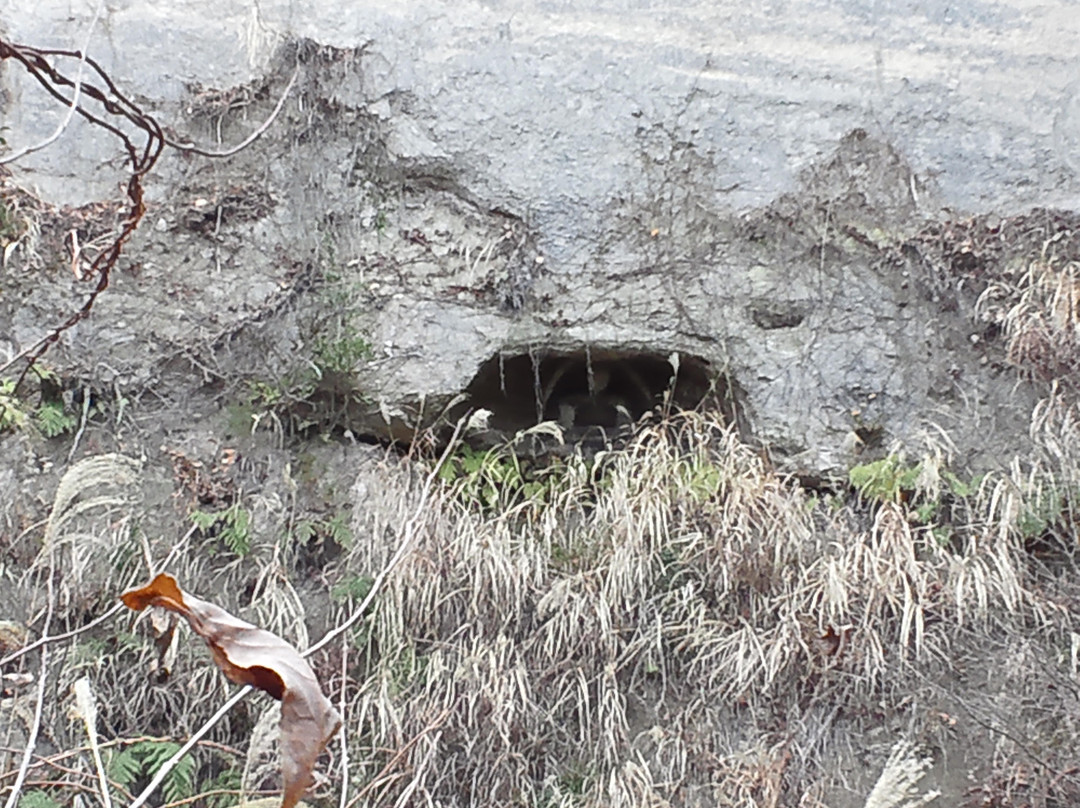 广野町旅游景点-Iwasawa Magaibutsu