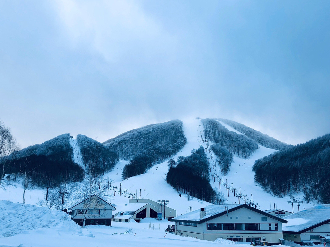 Hoshino Resorts Nekoma Snow Park & Resort景点图片