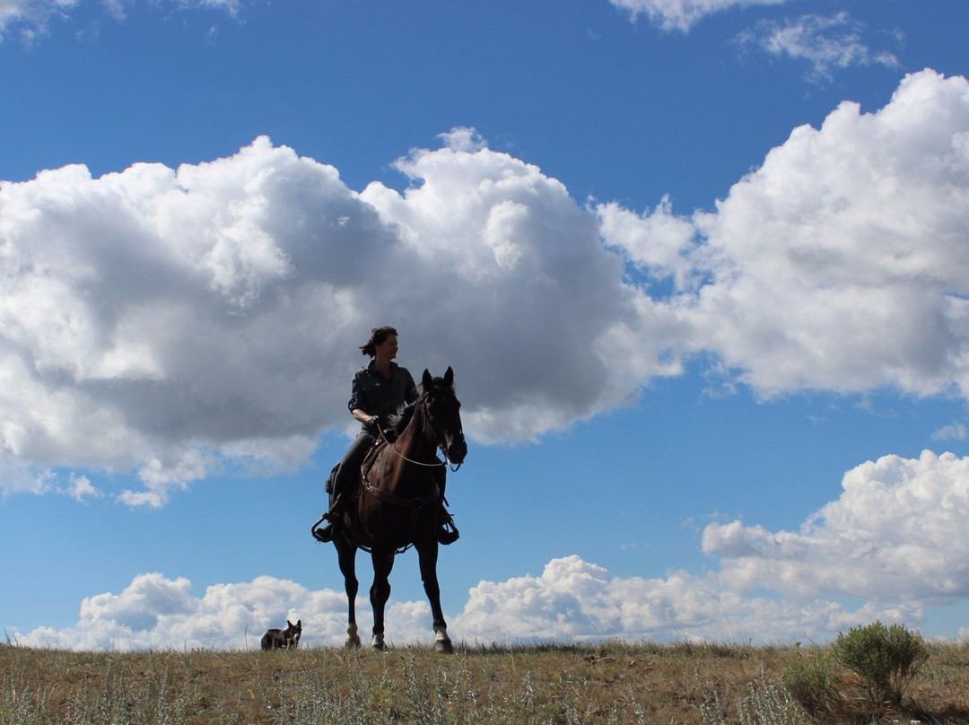 Bonanza Creek Guest Ranch