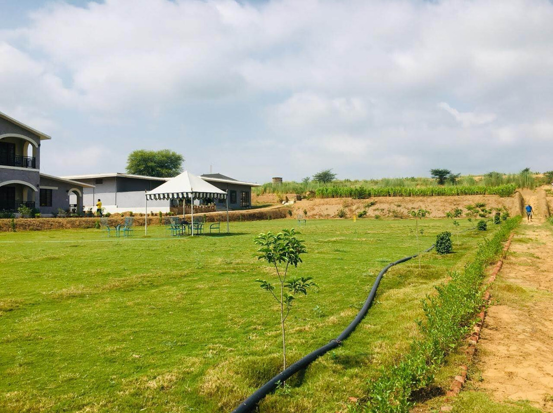 The Sariska Retreat主图