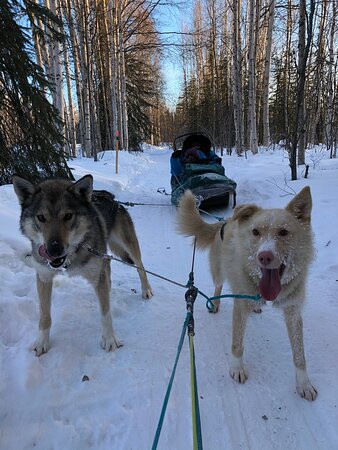 Chena Outdoor Collective-费尔班克斯必去景点