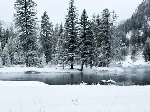 Yellowstone Snowmobiles-西黄石镇必去景点
