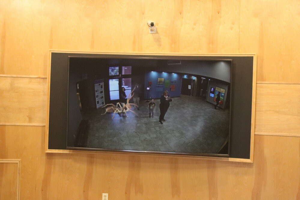 San Bernardino County Museum-雷德兰兹必去景点