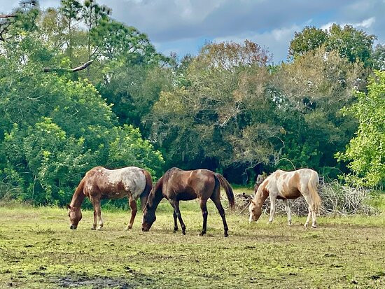 Southern Fresh Farms-迈尔斯堡必去景点