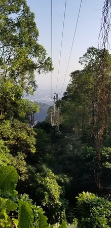 罗浮山黄龙观-博罗县必去景点