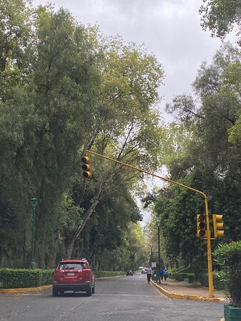 坦加盟那公园景点图片