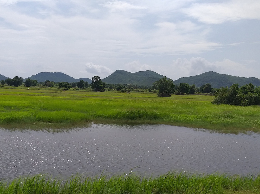 Battambang Tour Lychee-马德望必去景点