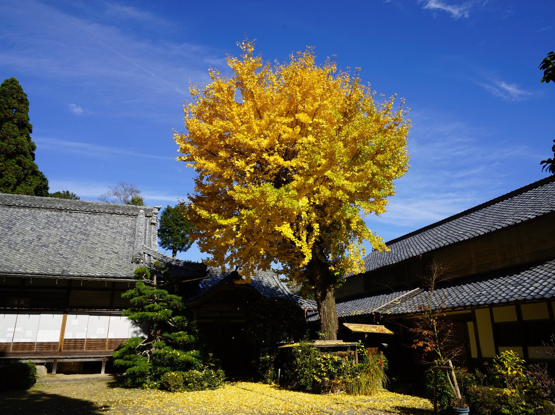 Ryotan-ji Temple景点图片
