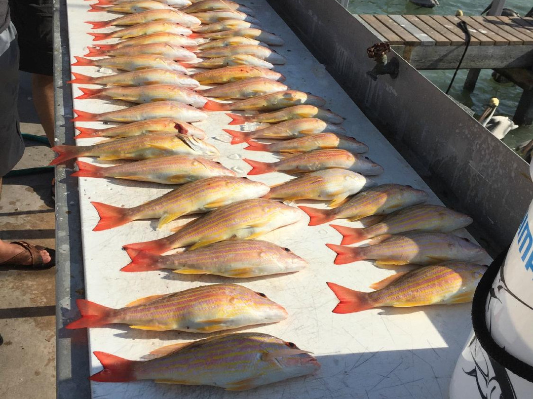 5 Star Sportfishing Charters-伊斯拉摩拉达必去景点