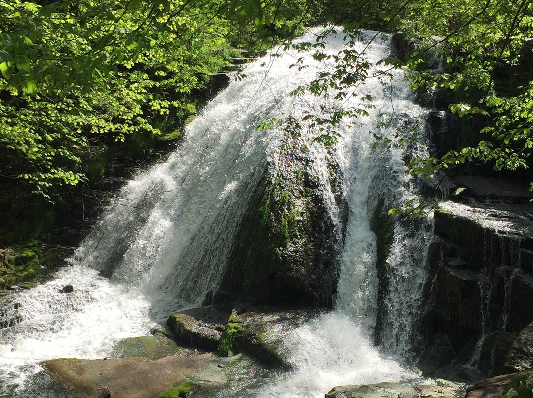 Roaring Run Falls-Eagle Rock必去景点