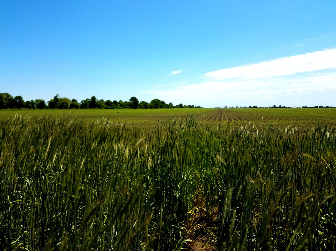 Washington旅游攻略图片