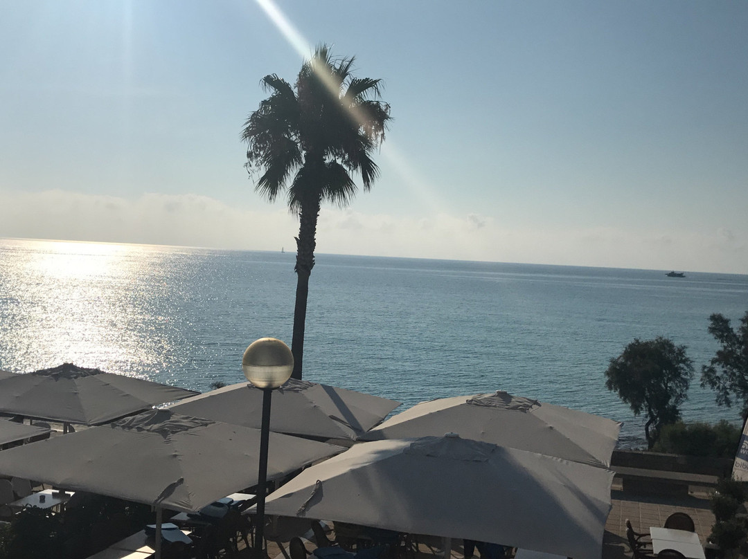 Apartmentos Bibabo
