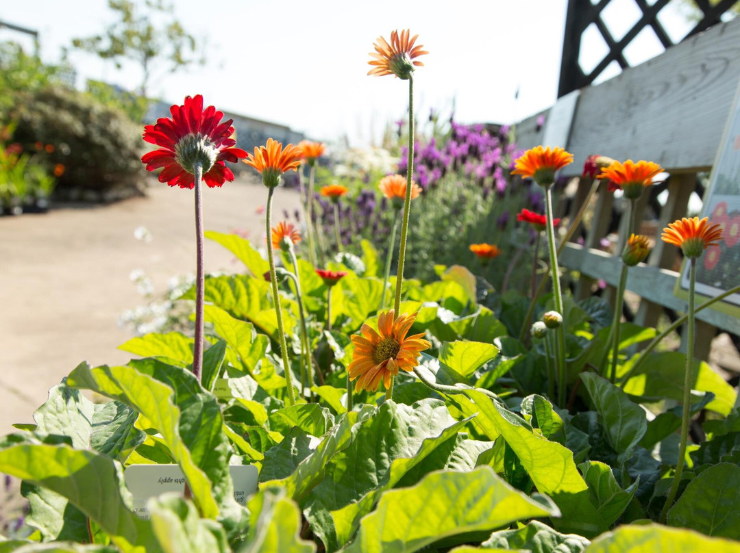 Warfield旅游攻略图片