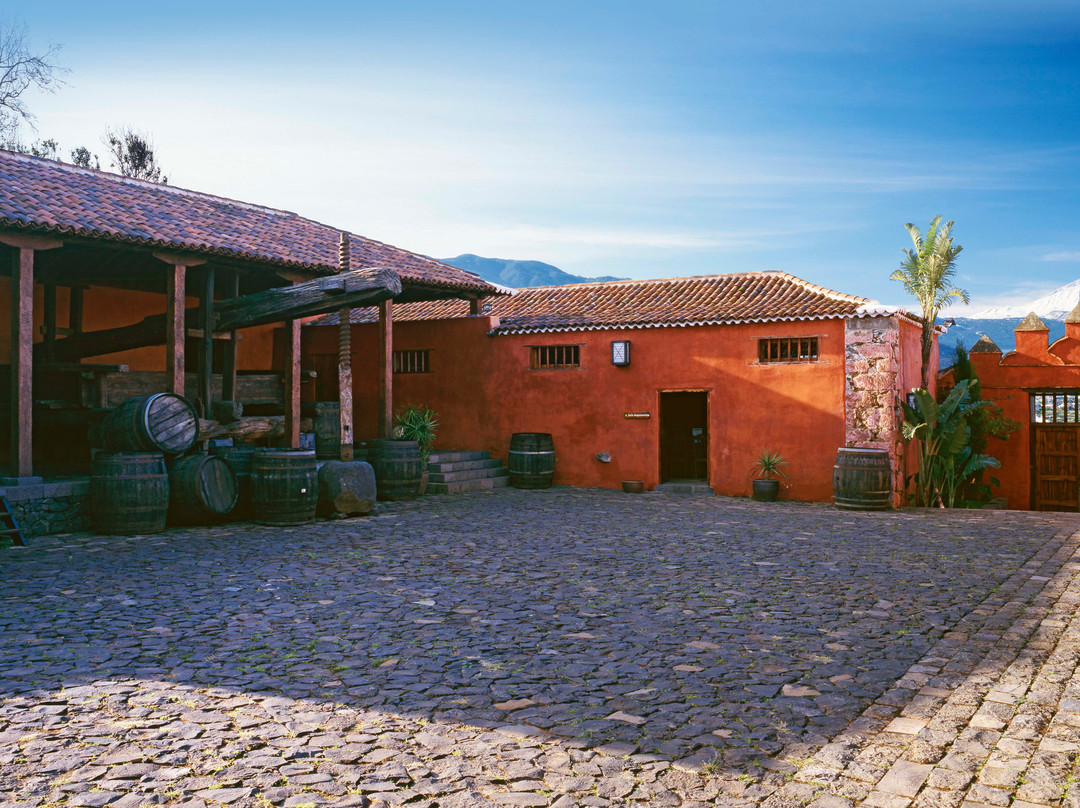 Casa Del Vino de Tenerife-El Sauzal必去景点