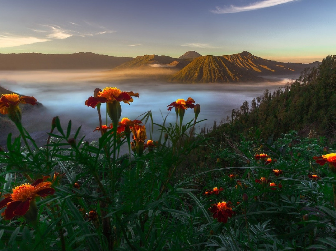 Rameyza Wisata Indonesia-泗水必去景点