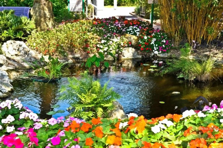 Florida Botanical Gardens景点图片