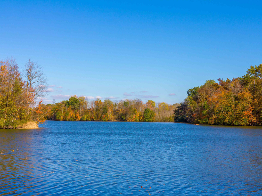 Sharon Creek Conservation Area景点图片