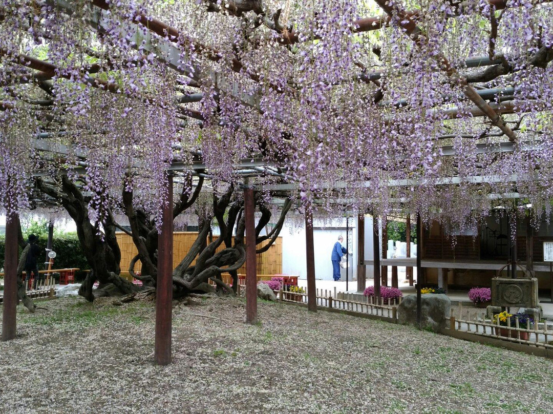 Empuku-ji Temple景点图片