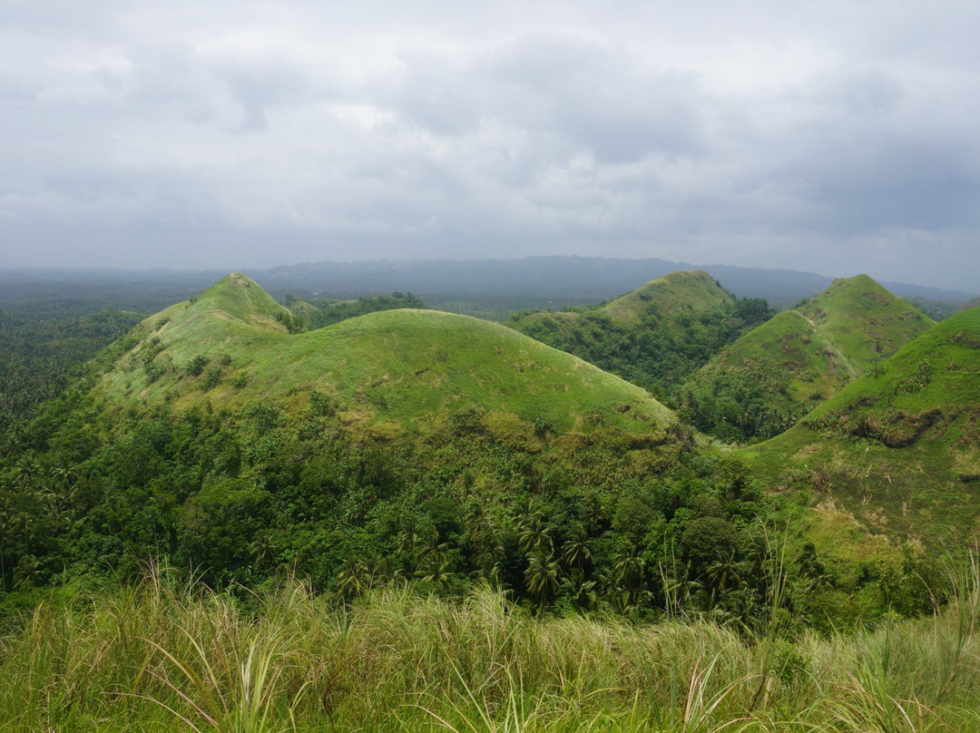 Quitinday Green Hills Formation Reserve景点图片