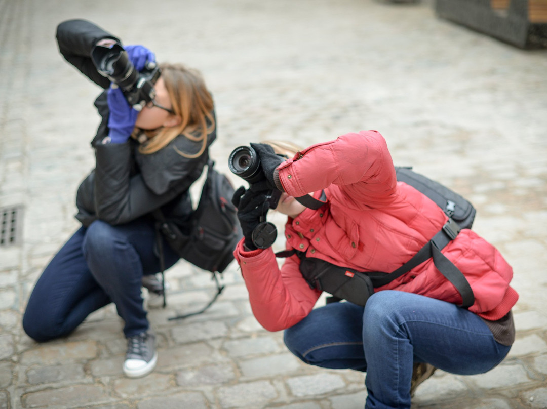 Cours Photo Dijon景点图片