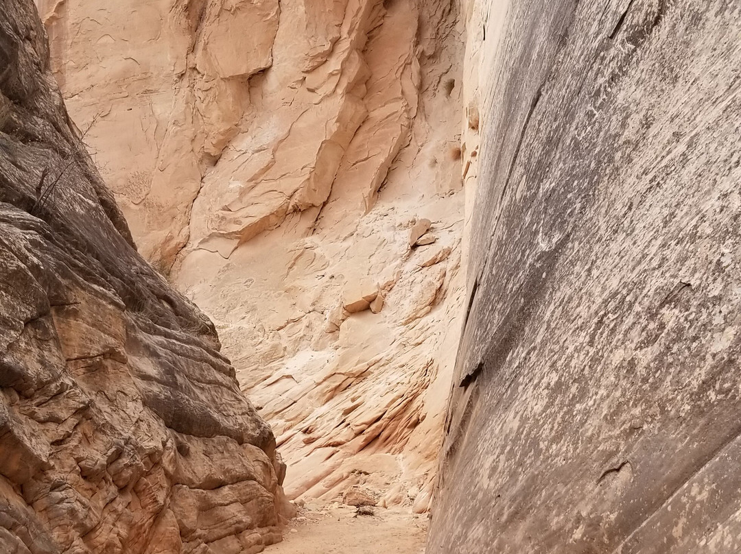 Cottonwood Canyon Road-卡纳布必去景点