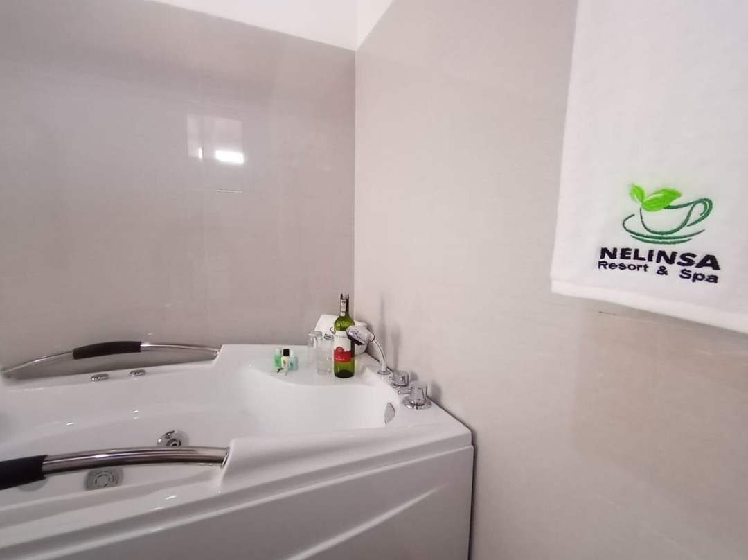 Nelinsa Resort And Spa