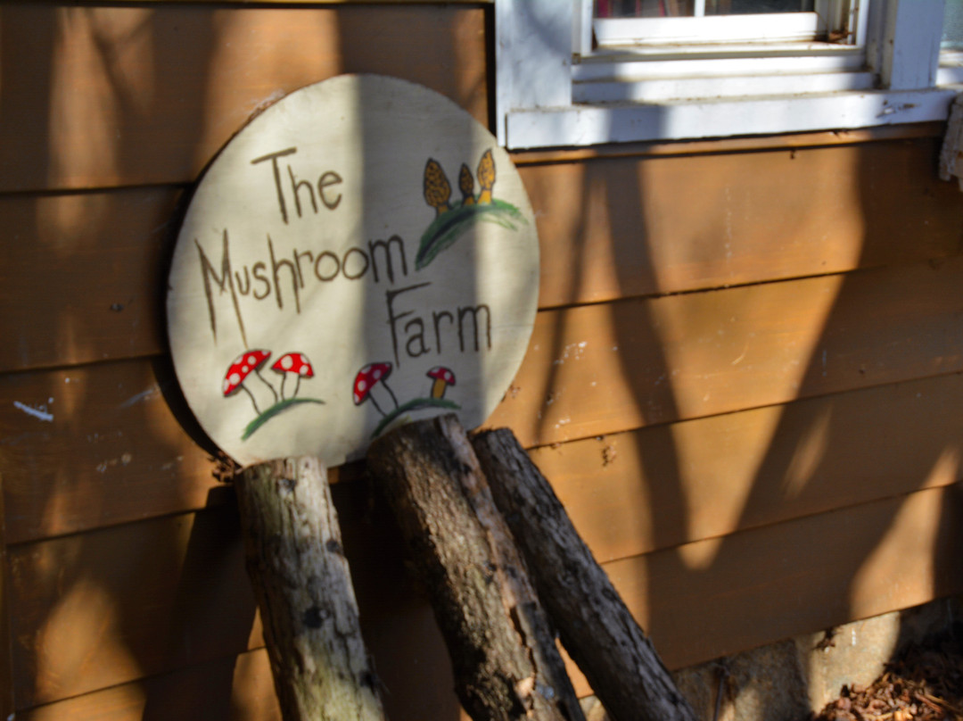 Grandview Lodge主图