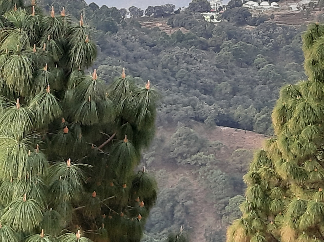 Salberry Resort主图