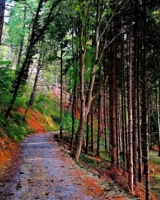Corni di Canzo景点图片