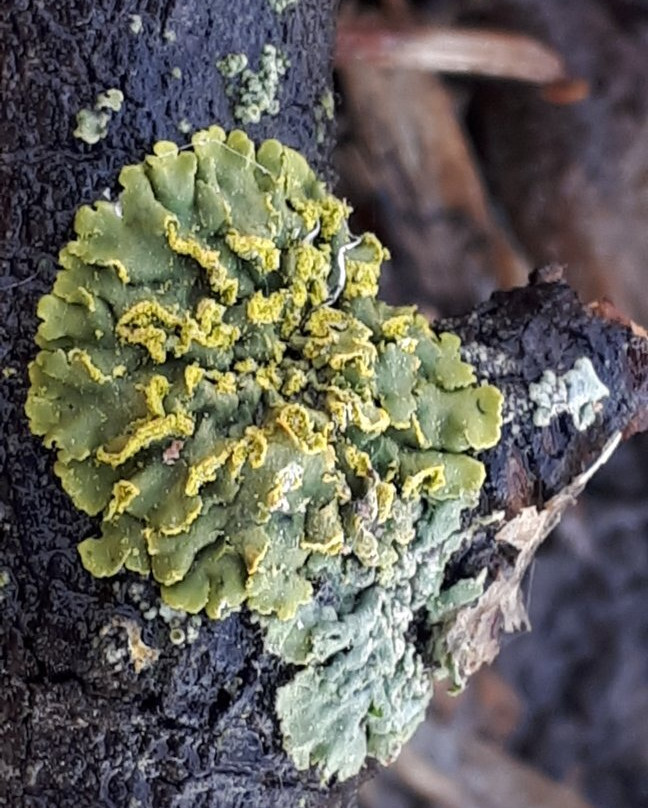 McBeth House-温尼伯必去景点